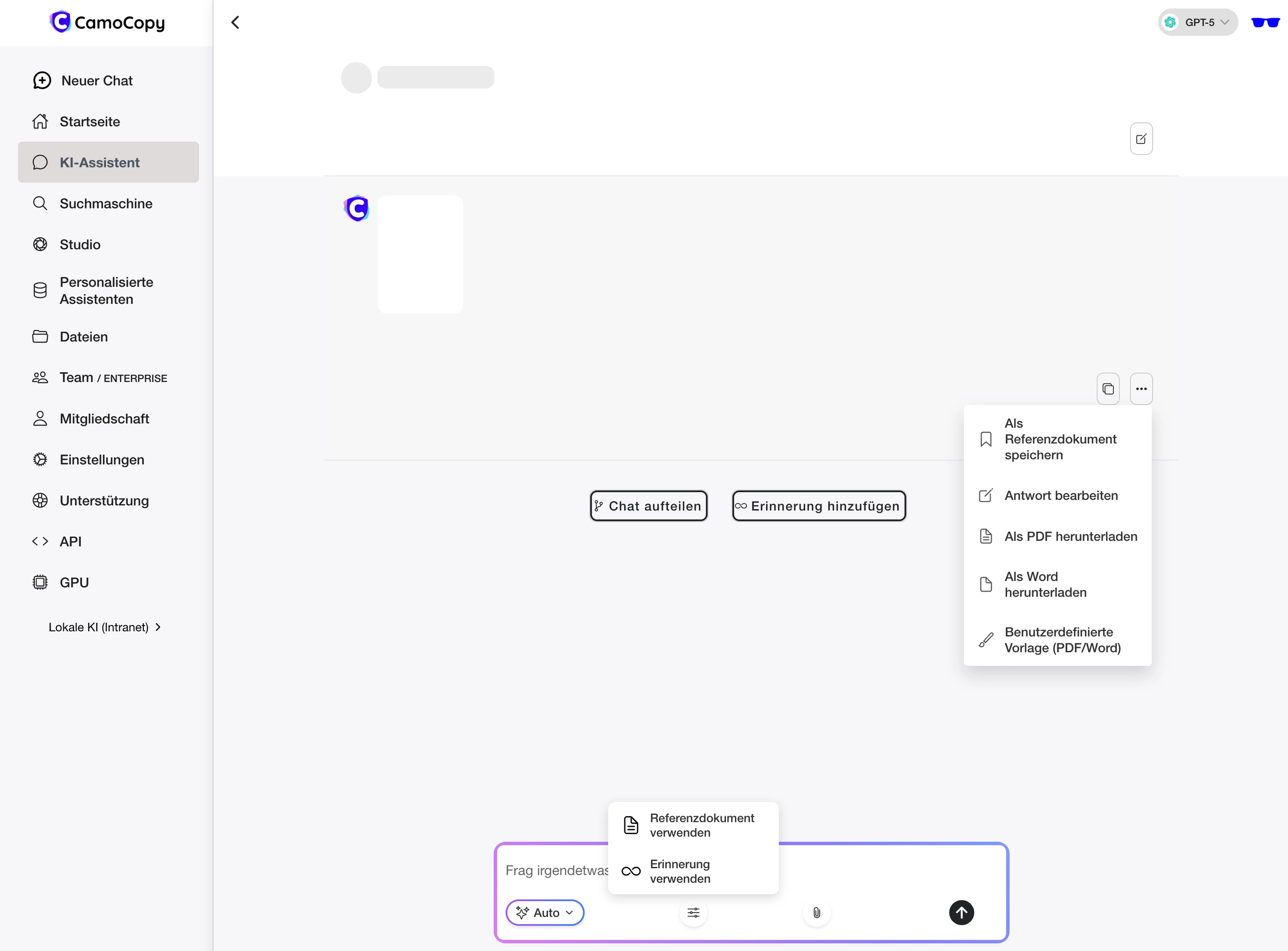 CamoCopy Chat Interface