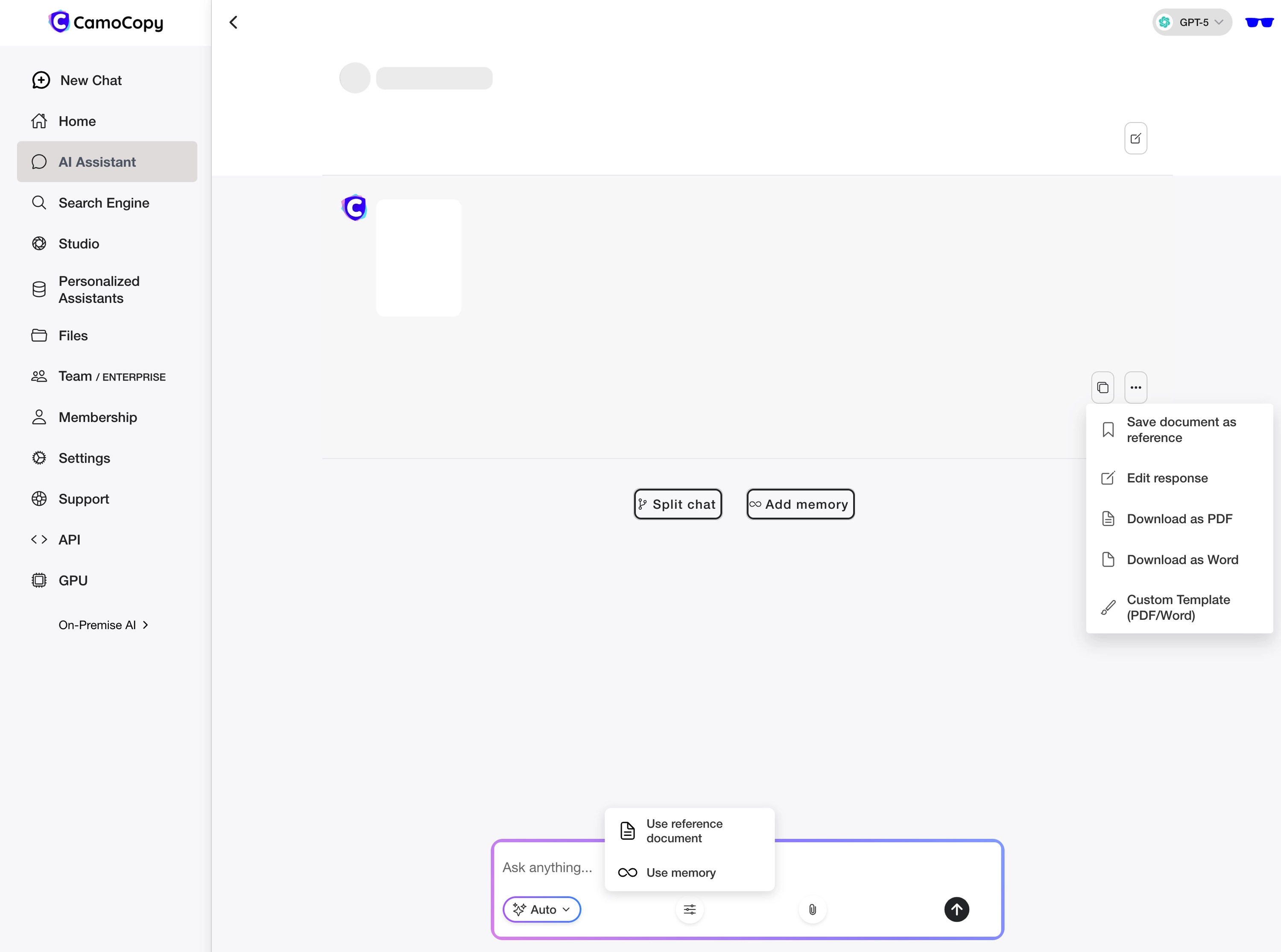 CamoCopy Chat Interface